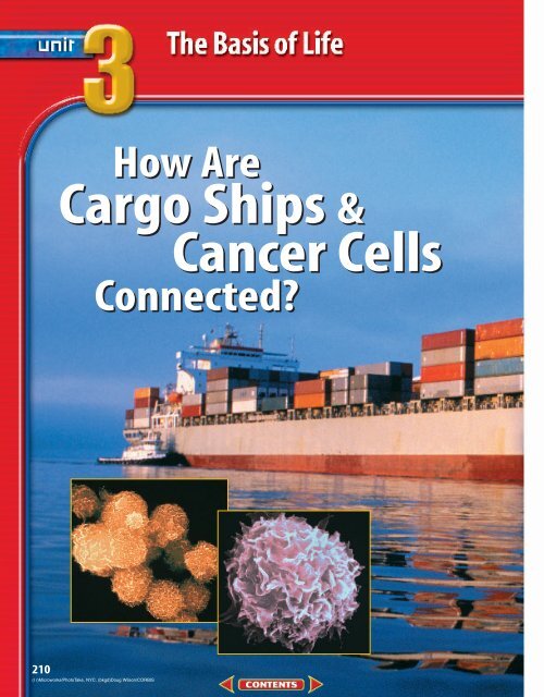 Chapter 8: Life's Structure and Classification