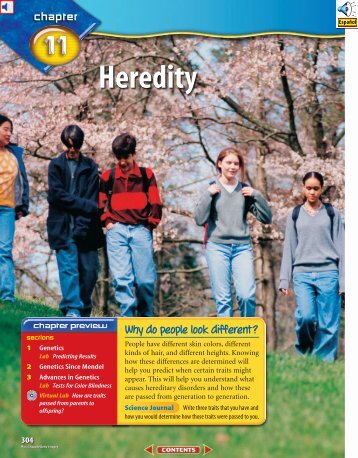 Chapter 11: Heredity