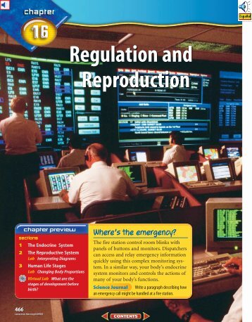 Chapter 16: Regulation and Reproduction