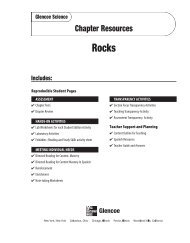 Chapter 3 Resource: Rocks