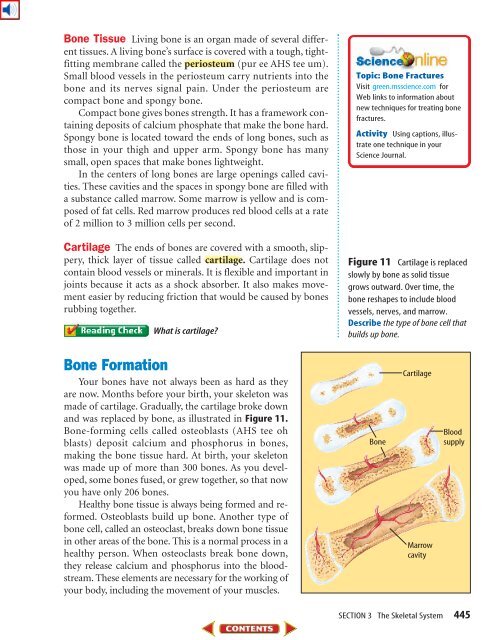 Chapter 15: Support, Movement, and Responses - Science