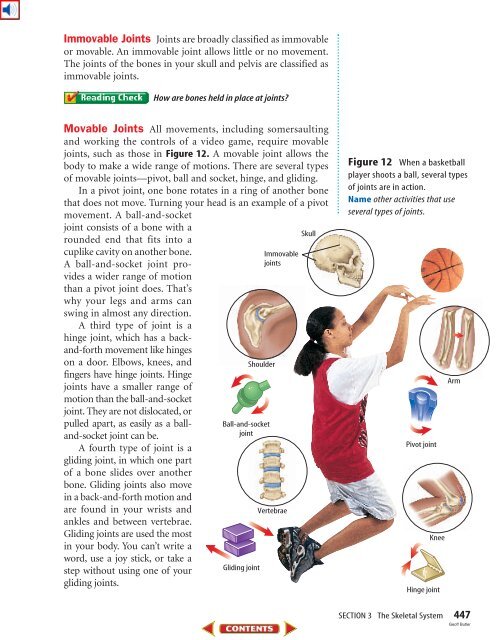 Chapter 15: Support, Movement, and Responses - Science