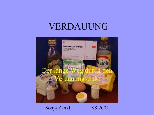 VERDAUUNG