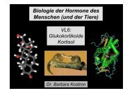 Biologie der Hormone des Menschen (und der Tiere)