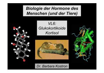 Biologie der Hormone des Menschen (und der Tiere)