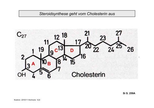 Biologie der Hormone des Menschen (und der Tiere)