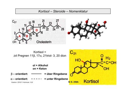 Biologie der Hormone des Menschen (und der Tiere)