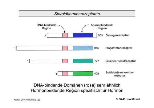 Biologie der Hormone des Menschen (und der Tiere)