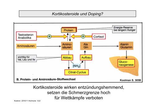 Biologie der Hormone des Menschen (und der Tiere)