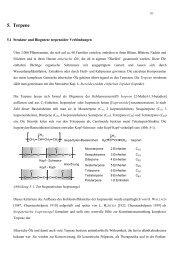 5. Terpene