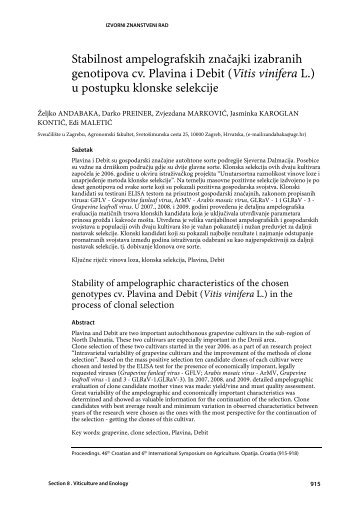Stabilnost ampelografskih značajki izabranih genotipova cv.