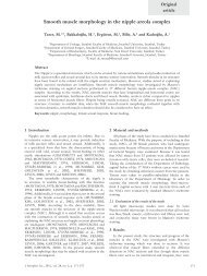 Smooth muscle morphology in the nipple-areola complex