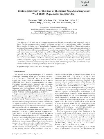 Complete Article - Journal of Morphological Science