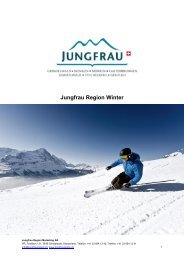 Jungfrau Region Winter