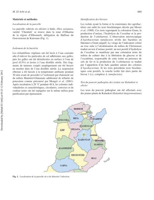 Première observation de la maladie de la galle du collet causée par Agrobacterium tumefaciens