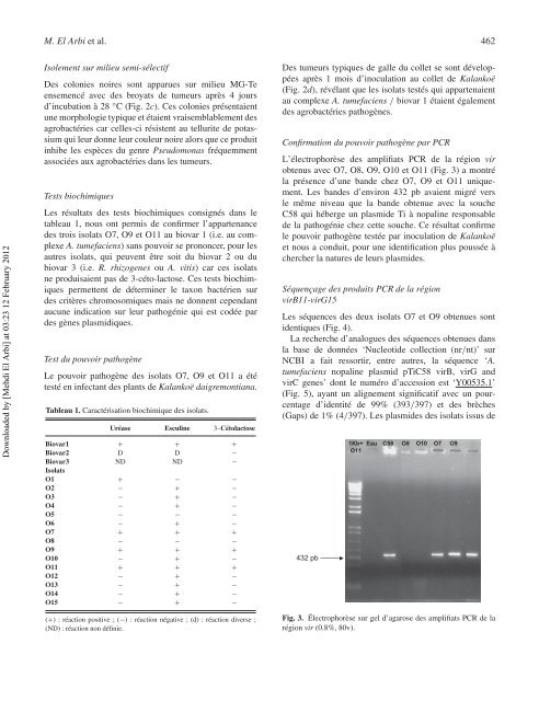 Première observation de la maladie de la galle du collet causée par Agrobacterium tumefaciens