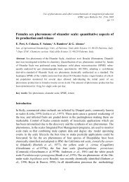 Females sex pheromone of oleander scale: quantitative aspects of ...