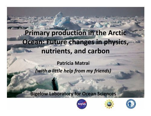 Primary production in the Arctic Ocean: Future changes in physics ...