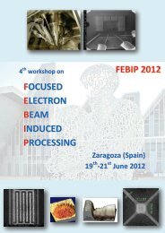 Book of abstracts FEBIP 2012 - INA - Universidad de Zaragoza