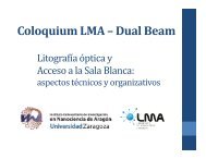 Coloquium LMA – Dual Beam - INA