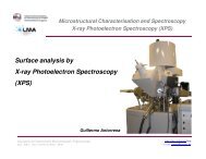 Surface analysis by X-ray Photoelectron Spectroscopy (XPS ... - INA