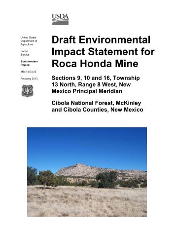 Draft Environmental Impact Statement for Roca Honda Mine
