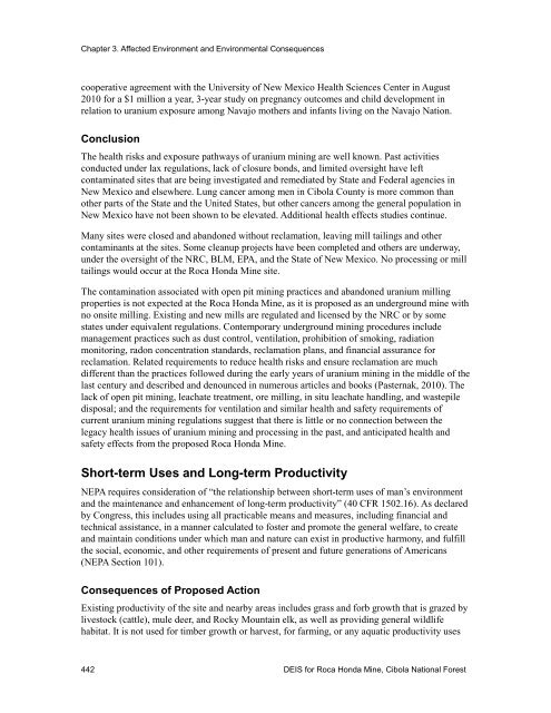 Draft Environmental Impact Statement for Roca Honda Mine