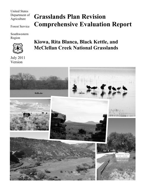 Comprehensive Evaluation Report