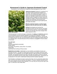 Homeowner's Guide to Japanese Knotweed Control [PDF]