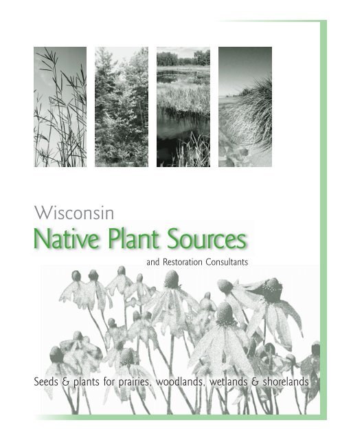 Wisconsin Native Plant Sources and Restoration Consultants