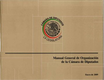 Manual General de Organización de la Cámara de Diputados ...