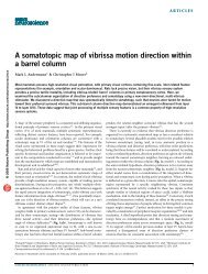 A somatotopic map of vibrissa motion direction within a barrel column