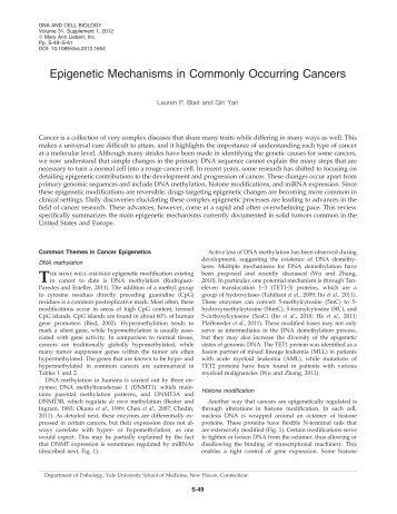Epigenetic Mechanisms in Commonly Occurring Cancers