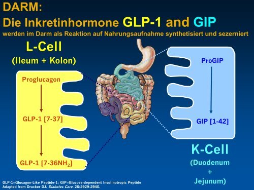 GLP-1 - Apothekerkammer