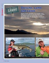 Dorsche, Lumb und Luxus - DinTur