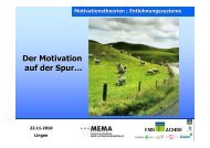 Motivation Präsentation Vogler, 22.11.2010.2010 - Ems-Achse