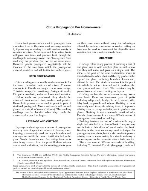 Citrus Propagation For Homeowners1