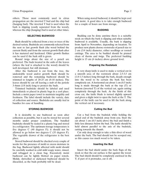 Citrus Propagation For Homeowners1