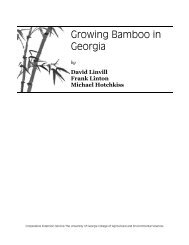 Growing Bamboo in Georgia - Orange County Extension Education ...