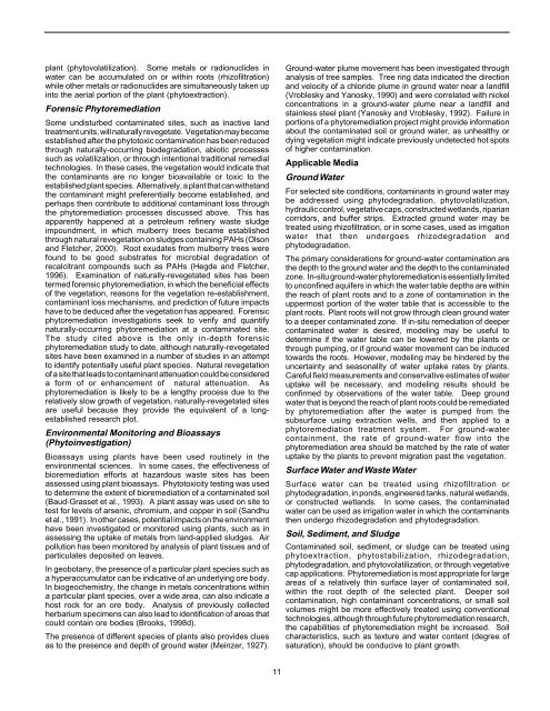 Ground Water Issue Phytoremediation of Contaminated ... - CLU-IN