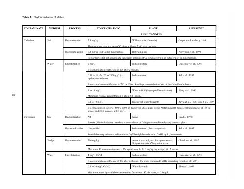 Ground Water Issue Phytoremediation of Contaminated ... - CLU-IN