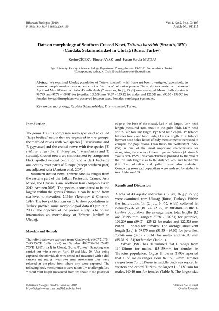 Data on morphology of Southern Crested Newt, Triturus karelinii ...