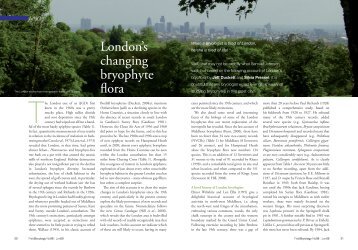 London's changing bryophyte flora