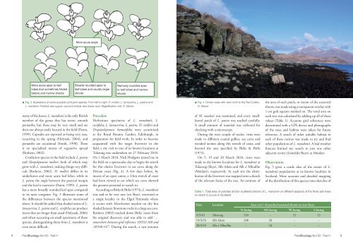 Current status of the known populations of Lejeunea mandonii in ...