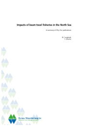 Impacts of beam trawl fisheries in the North Sea - Ocean2012