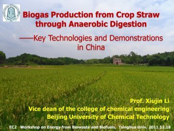 Biogas Production from Crop Straw through Anaerobic Digestion ...