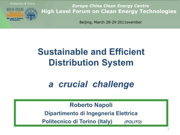 Roberto NAPOLI: Sustainable and efficient distribution system