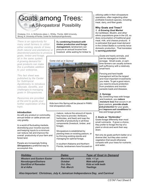 Goats Among Trees: A Silvopastoral Possibility - University of Florida