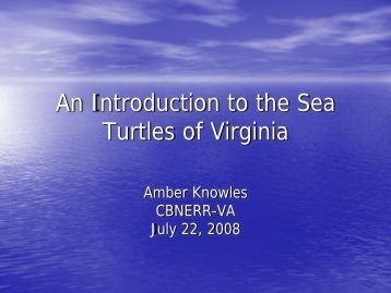 An Introduction to the Sea Turtles of Virginia