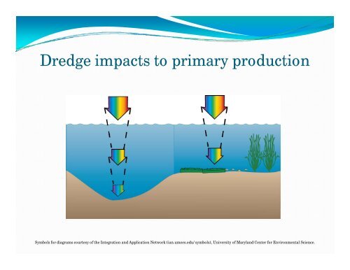 Shallow Water Habitat & Dredging